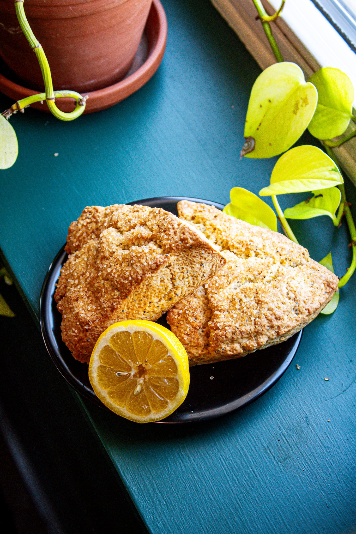 Lemon Poppy Seed Scones