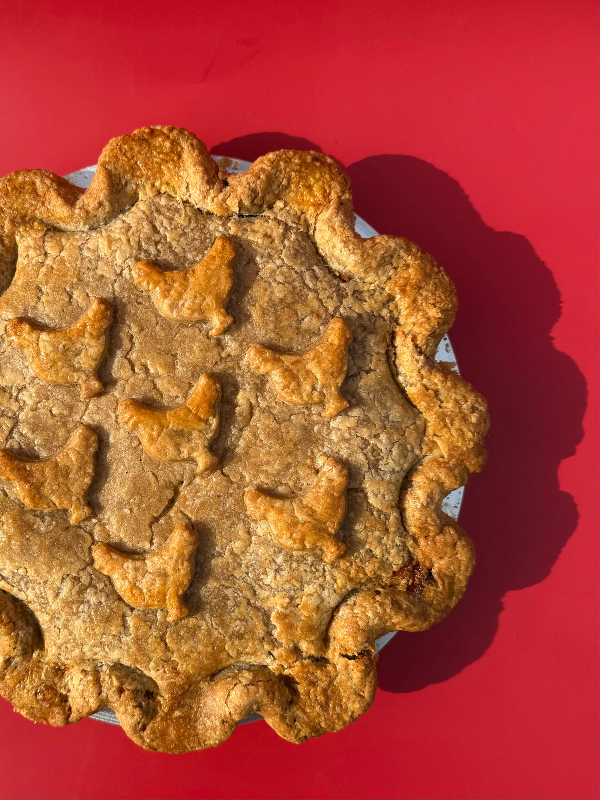 Chicken Leek & Mushroom Pot Pie